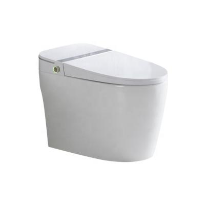 China Auto Operation Smart Toilet With Auto Wc Bidet And Smart Functions In Hot Sale for sale