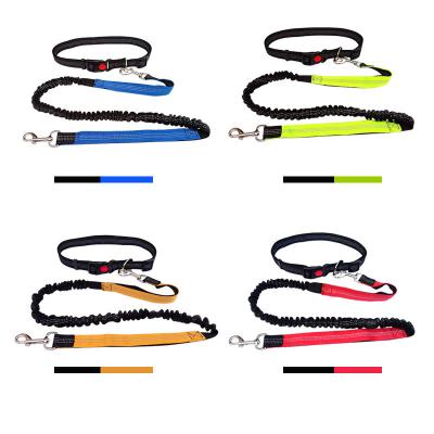 China Custom Logo Outdoor Waist Buffering Adjustable Dog Bungee Walking Running Leash for sale