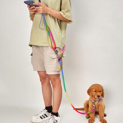 China Viable Wholesale Lead Round Double Gradient Slip Nylon Rope Hands Free Dog Rope Leash for sale