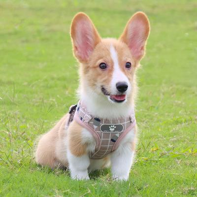 China Small Animals Wholesale Pet Harness Vest Leash Set Puppy Harness Adjustable Reflective Rope for sale