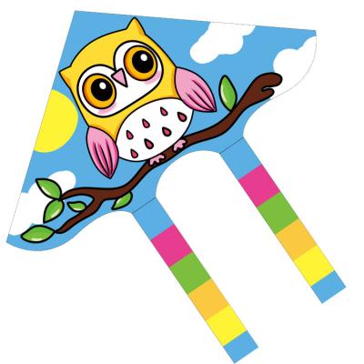 China Polyester 2021 New Promotional Toy Easy Flying Delta Shape Owl Kites For Kids for sale