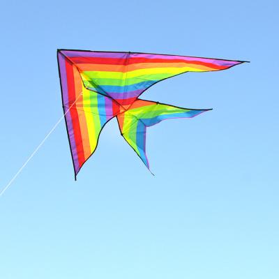 China Polyester Customized Colorful Delta Rainbow Kite 160cm Very Popular Easy Flying for sale