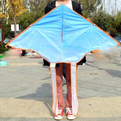 China Wholesale Polyester Kids Factory DIY Triangle Kite For Painting Kite With Line for sale