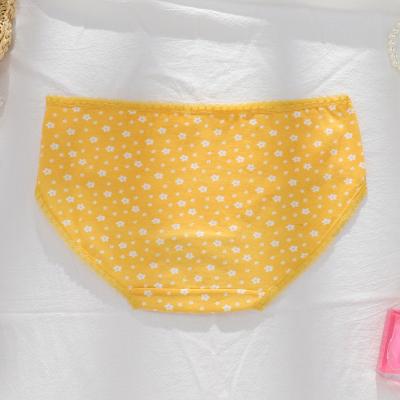 China Wholesale New Cartoon Women's Breathable And Girls' Mid Waist Underwear Fragmented Elephant Lace Edge Triangle Underwear In Stock for sale