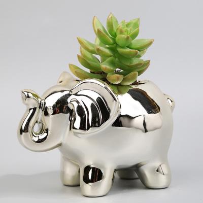 China Eco - Friendly Indoor Ceramic Animal Planters Pots For Cactus , Bonsai , Orchid Or Flowers for sale