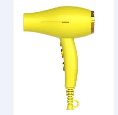 China Nylon Powerful and Smallest Professional AC Motor Hair Dryer 2000W Salon Hair Dryer for sale