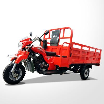 China DY-M2 cargo three wheel motorcycle hot selling model at Myanmar with powerful engine of 150cc and 200cc heavy duty cargo tricycle for sale