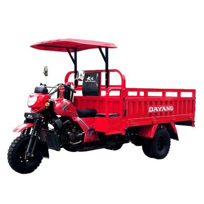 China China Top 10 Manufacturer Hot Sale South Africa 300cc Delivery Van Cargo Tricycle for sale