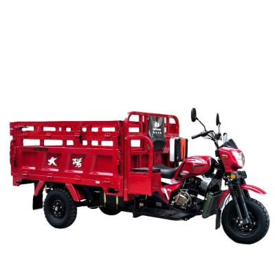 China Hot Selling Global Market Convertible Space Farm Delivery Tricycle Gasoline Motorized Large Cargo Tricycles for sale