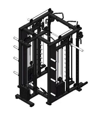 China Xinrui Fitness Gym Equipment DZ031B Commercial Multi Power Cage Machine Blacksmith Function Squat Stand for sale