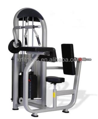 China China Comercial Gym Equipment Triceps Extension Fitness Equipment XR6606 for sale