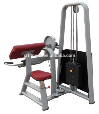 China High quality stainless steel tube Q235 gym equipment names biceps curl machine/professional strength machines for gym center for sale