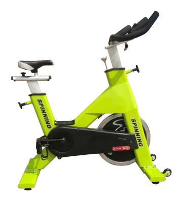 China Commercial Use Online High End Commercial Luxury Green Spinning Bike for sale