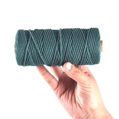 China 2021 New Design High Quality Packing Rope Natural Hemp Protection Rope for sale