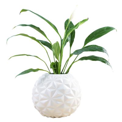 China Hot selling ceramic vase outdoor home decor white nordic modern creative unique minimalist manufacturers design for sale