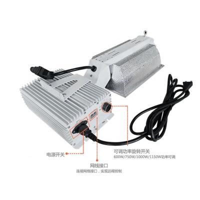 China High demand products ROAD export HPS GROW LIGHT KIT 1000W 208-277V for sale