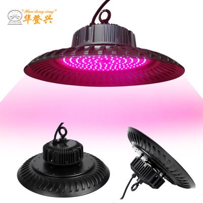 China Seed Starting Plant Growth 5-Years Guarantee 200W Full Spectrum 2.8Umol/J High PPFD 660nm Indoor LED Grow Light for sale