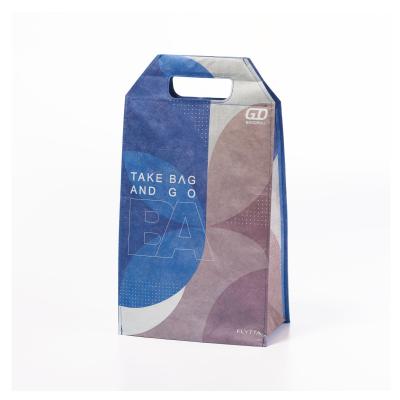 China Inner Insulated Tyvek Light-design Thermal Insulation Picnic Bag For Frozen Food for sale