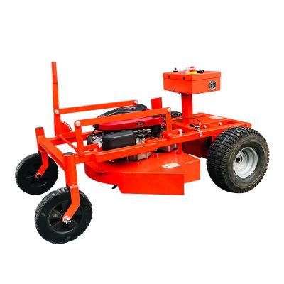 China 2-Stroke Factory Sell 500 Mm Cutting Width Rolled Lawn Mower Grass Cutter Lawn Motor Robot Remote Control Lawn Mower for sale