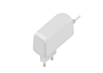 China de Omschakelingsvoeding 90 van 24V 500MA AC - de de Omschakelingsmuur van 264VAC AC zet Adapter op Te koop