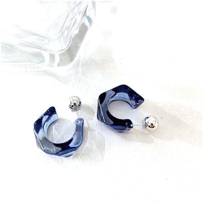 China Resin earrings autumn high sense of winter 2021 new tide earrings female simple temperament of earrings for sale