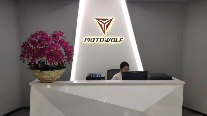 Verified China supplier - Foshan Motowolf Technology Co., Ltd.