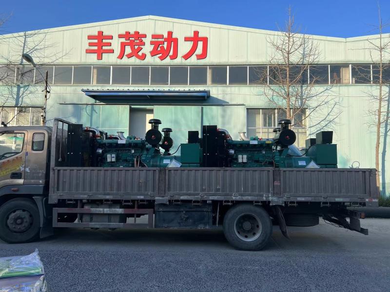 Проверенный китайский поставщик - Weifang Fengmao Power Equipment Co., Ltd.