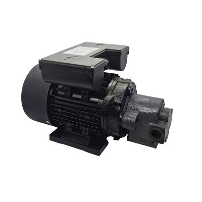 China Automotive industry rated power 0.55-7.5KW electric oil transfer pump for machine tools, construction machinery, speed reducer, for sale