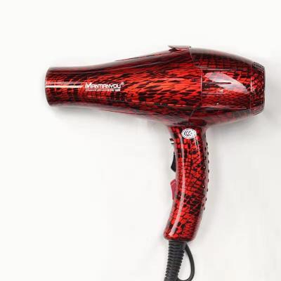 China AC Motor Private Label AC Motor Hair Dryer 2 Speed ​​Heating 2 Speed ​​Salon Hair Blow Dryer for sale