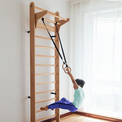 China Eco-Friendly Climbing Frame Wooden Swedish Wall Ladder Swedish Playground Kids Gym Equipment Home Exercise Complete Kids Play Grounds for sale