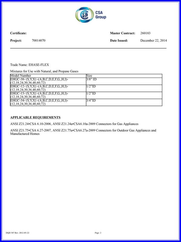 CSA - Hangzhou Ehase-Flex Co., Ltd.