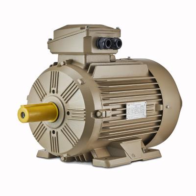 China IP55 Wolong WE4 Series Super High Efficiency 3 Phase Asynchronous Induction Ac Electric Machine Motor for sale