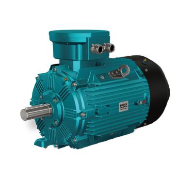 China IP55 Wolong BROOK Crompton WEX3 Series High Efficiency Motor IE3 Explosion Proof Three Phase Induction Motor for sale