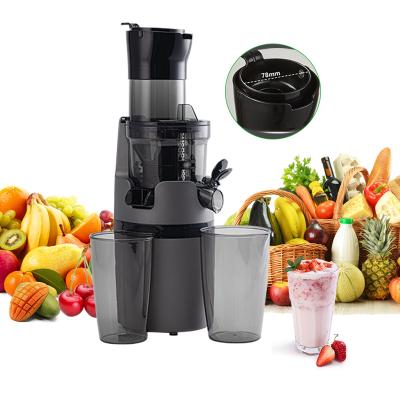 China SJ-009 Fruit SJ-009 Citrus Fruit Squeezer Machine Outdoor Portable Commercial Orange Electric Cold Press Machine Extractor Slow Juicer for sale