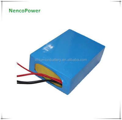 China High Power Density Water Proof Customized Lithium Ion Battery Pack 12V for sale