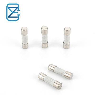 China 0.1A 0.2A 0.5A 1A 2A 3.15A 5A 6.3A 8A 10A15A 20A 25A 30A 125V 250V 5X20MM Fast Glass Type Low Voltage Fuse Cutout High Quality Ceramic Fuse Fuses Fuse for sale