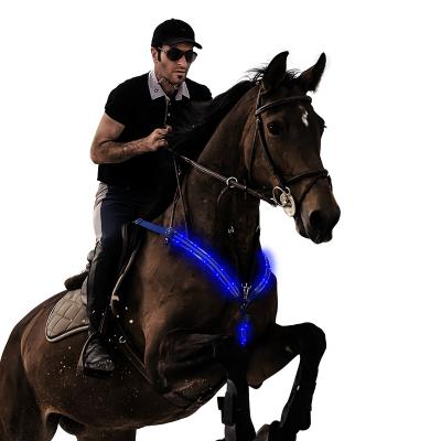 China Visible In The Dark Factory Wholesale Light Up LED Chest Collar Horse Harness for sale