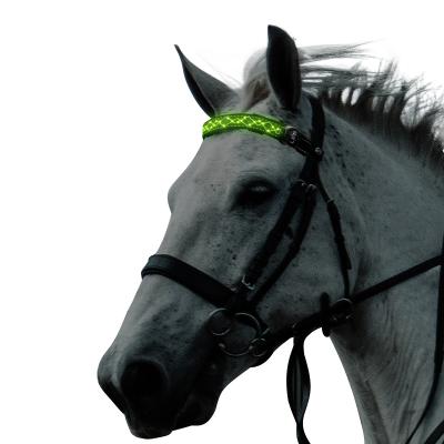 China Polyester + Led Rope Light Battery LED Private New Horse Headband for sale