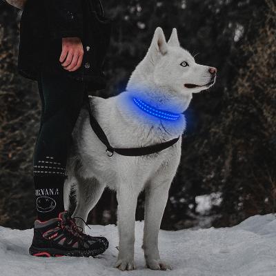 China Padded Amazon Factory Led Light Glow Dog Collar for sale