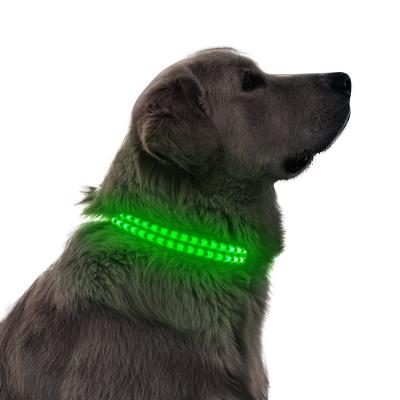 China Lights Up Light LED Dog Collar USB Rechargeable Walk Dog At Night To Keep Pets Safety for sale