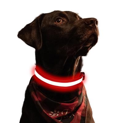 China Lights High Quality Silk Weave With Flat Fiber For Brighter LED Flashing Dog Collar for sale