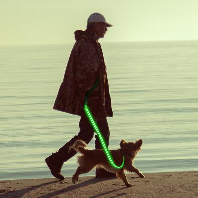 China USB Rechargeable Waterproof LED Lights Dog Leash Comfortable Feeling For Your Pets for sale