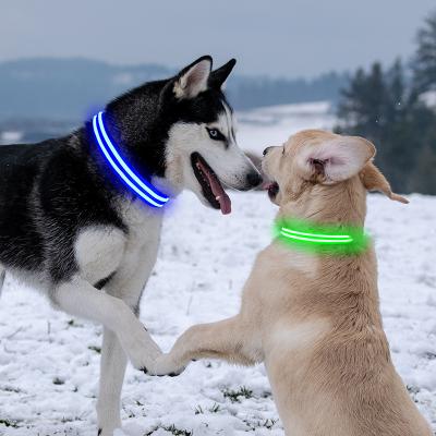 China Lights USB Rechargeable Pets Dog Collar Waterproof Led Safety Light Up Puppy Collars Small Moq To Accept Customize for sale