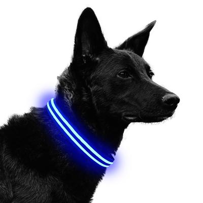 China Lights Up Safety USB Rechargeable Led Light Dog Collar For Pets XS/S/M/XL Glow Puppies Cats Collar for sale