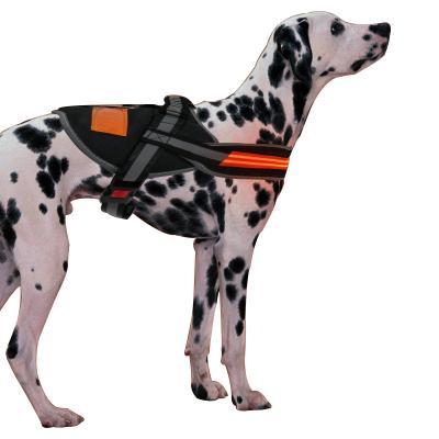 China Hot Selling Custom Viable Dog Flashing Led Vest For Training for sale