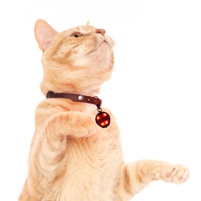 China LED Pet Collar Push Button Switch Pendants Cat Puppy Safety Luminous Flashing Dog Collar Pendant JEWELED For Night Walking for sale