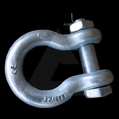 China Bow Shackles with screw pins G2130, US TYPE. for sale