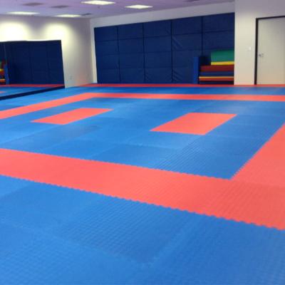 China Extra Large 2cm 3cm 4cm Anti-Slip Thi Taekwondo Judo Eva Rubber Mat Sports Mat Factory Manufacturer for Taekwondo for sale