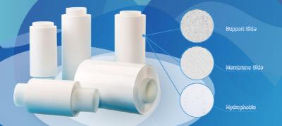 Cina Hydrophobic PTFE Membrane Roll Air Filtration Treatment High Temperature Resistant in vendita