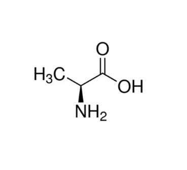 Cina L-Alanine CAS: 56-41-7 Purity≥98.5% White Crystal Powder 5g/pk Brown bottle Packing in vendita